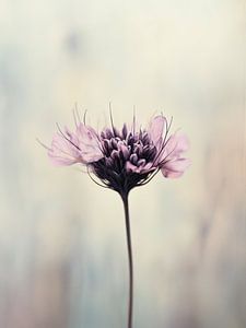 Pastel Nature No 23