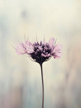 Pastel Nature No 23 von Treechild
