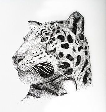 Pentekening van een Jachtluipaard | Vierkante versie van Lianne Landsman