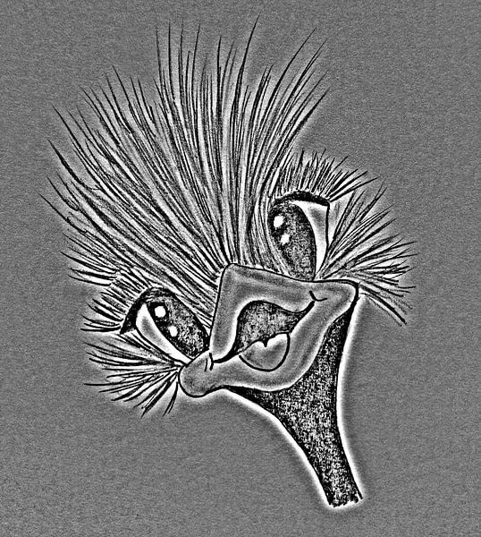 Fröhlicher Strauß von Jose Lok