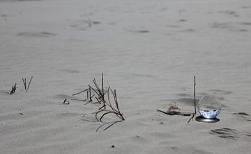 Wrâldbaltsje met blauwe lucht op het strand van Terschelling by Nynke van der Ploeg