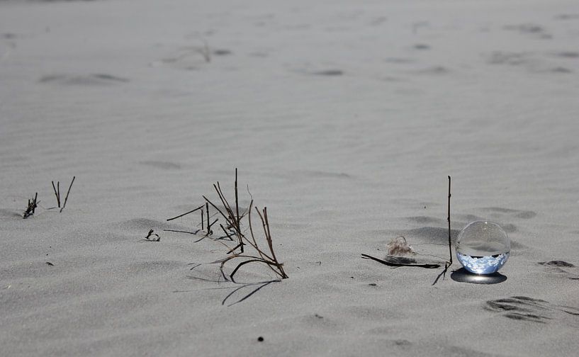Wrâldbaltsje met blauwe lucht op het strand van Terschelling von Nynke van der Ploeg