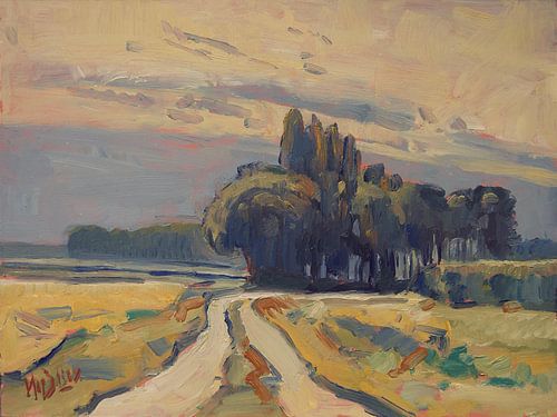 Composition of a farmer's road with farm trees after a farmer's shower in Groningen