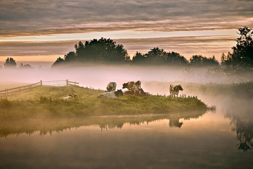 Niederlande, Tienhoven, Kühe im Morgennebel im Molenpolder. von Frans Lemmens