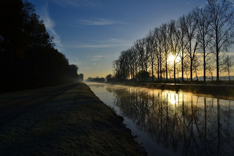 Winterse ochtend van Jarne Buttiens