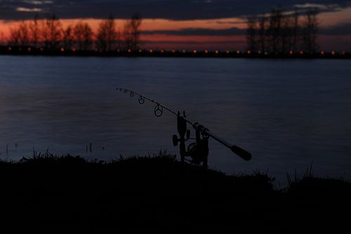 Plan de nuit de cannes à pêche