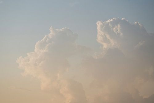 Zacht Gesprek Sculpturen van Wolken