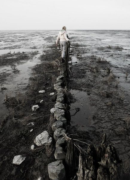 Walk the line by Brenda van der Zee