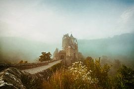 Burg Eltz von Lars van de Goor