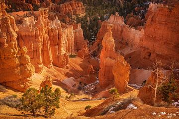 Bryce Canyon by Martin Podt