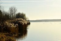 Seelandschaft
