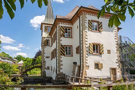 Entenstein Schloss Schwarzwald von Photo Art Thomas Klee