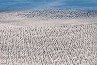 Zandpatronen bij de zee