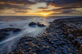 Golden Causeway von Steven Driesen