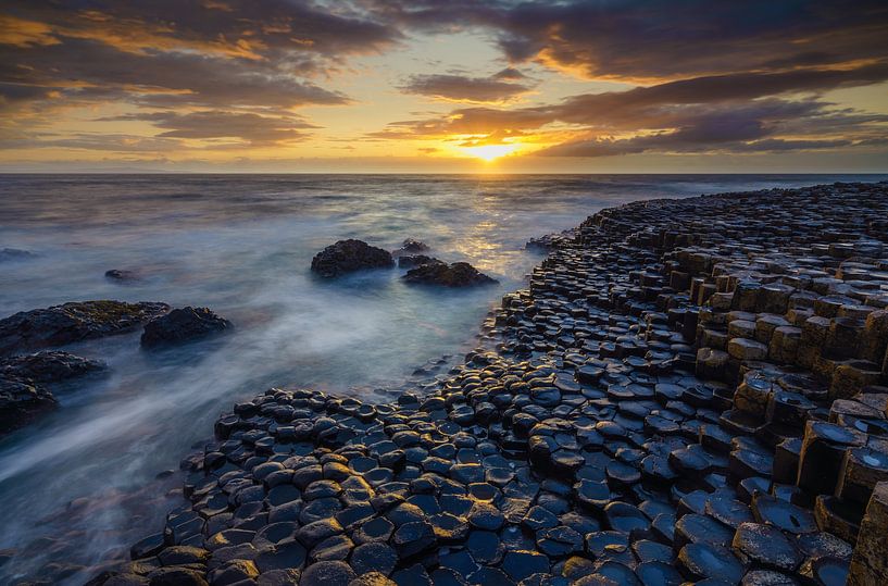 Golden Causeway by Steven Driesen