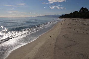 Strand van Pinia Corsica van Dick Schouten