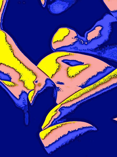 Popart-Akt II von McRoa