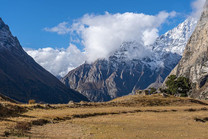 Open Grass Plain Himalayas Nepal by Tessa Louwerens