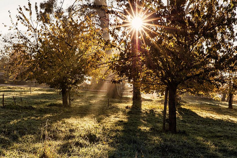 Lever de soleil à Camerig par Rob Boon