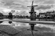 Windmühle de Adriaan in Haarlem von caroline wijnmaalen Miniaturansicht