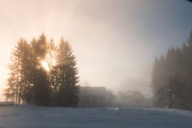 Winter mist