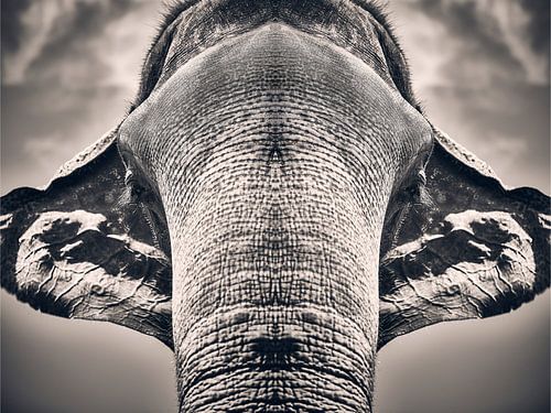 Majestätische Symmetrie