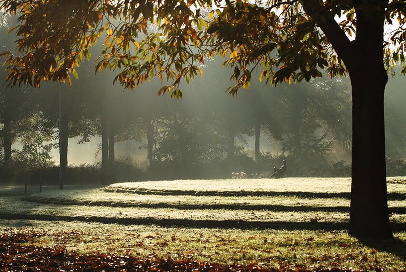 bathe in sunlight by Hetwie van der Putten