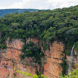 Wo Stein auf Wald trifft von Piret Victoria Ribas Art & Photography