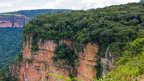 Wo Stein auf Wald trifft von Piret Victoria Ribas Art & Photography