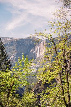Yosemite Falls by Patrycja Polechonska