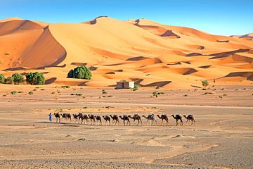 Kamelen karavaan in de Erg Chebbi woestijn in Marokko van Eye on You