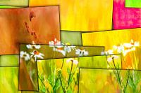 Lente in abstractie