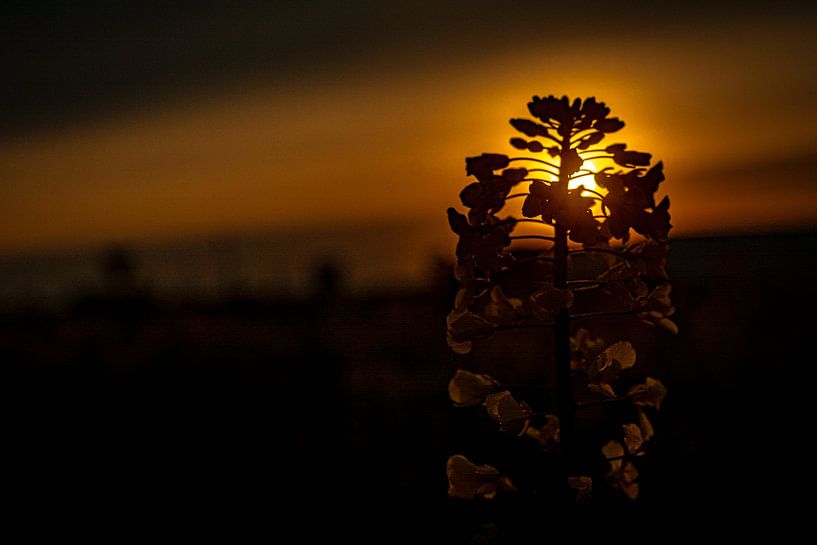 Nature in the Erzgebirge by Johnny Flash