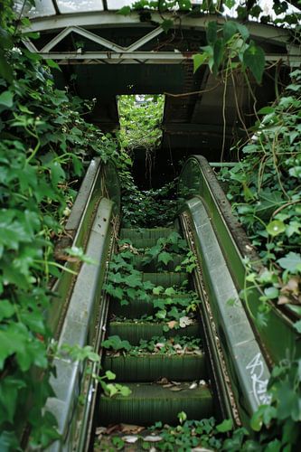 Verborgen trap op het platteland