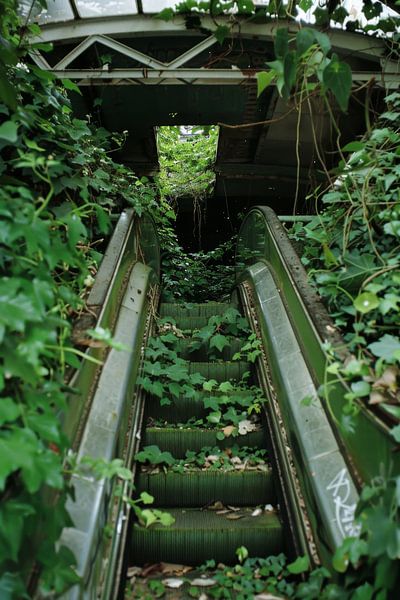 Hidden staircase in the countryside by Poster Art Shop