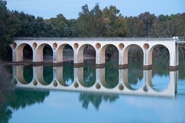 Ovale Brücke von Cornelis (Cees) Cornelissen