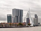 Erasmus-Brücke und De Rotterdam von Jim van Iterson Miniaturansicht