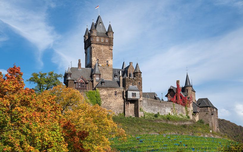 Cochem, Moezel, Rijnland-Palts, Duitsland van Alexander Ludwig