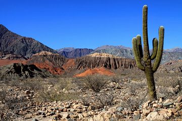 Quebrada de Cafayate