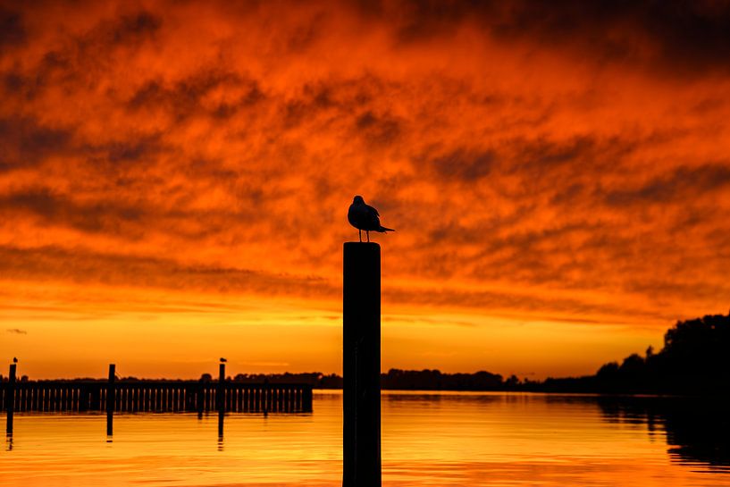 Sunset on Lake Veere by Ronnie Schuringa