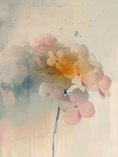 Hortensia in pastelkleuren, Japandi stijl