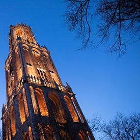 Die Kathedrale, fotografiert von unten während der blauen Stunde (Landschaft) von André Blom Fotografie Utrecht