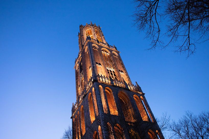 The Cathedral photographed from below during the blue hour (landscape) by André Blom Fotografie Utrecht