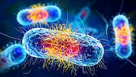 pathogene micro-organismen met flagellen en details van het celmembraan