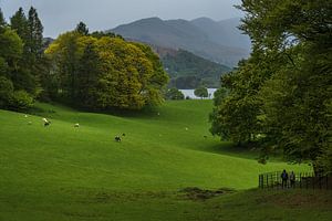 Die Rasenflächen um Schloss Wray im Lake District, England