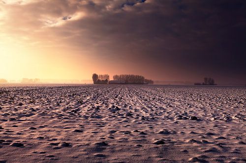 Winterlandschap Zeeland