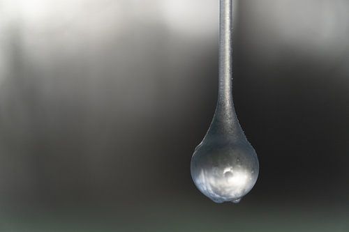 Perle congelée