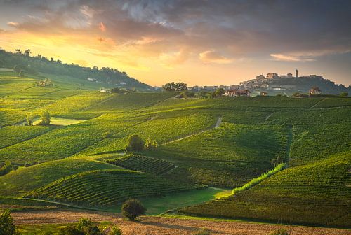 Wijngaarden van Langhe en La Morra villagge. Italië