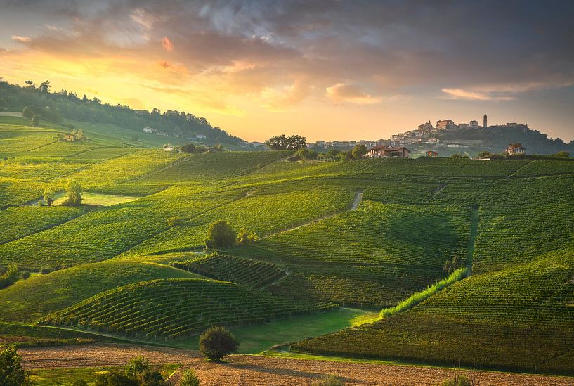 Vineyards of Langhe and La Morra villagge. Italy by Stefano Orazzini