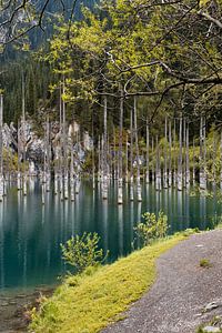 Lac Kaindy au Kazakhstan